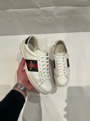 Gucci skor - Skick: 9/10 | US 8.5 = 42.5 