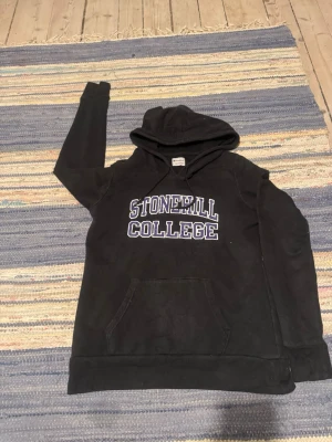 Champion hoodie  - Riktigt stil ren champion hoodie.  Fint skick i storlek L fast passar M. Skriv vid minsta fundering 