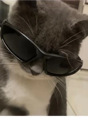 Svarta sportiga solglasögon - Köp de kommer vara jätte bra satt de kan täcka ditt fula ansikte 