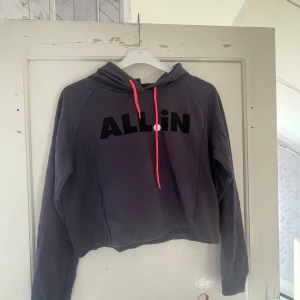 Hoddie  - Ok skick vad jag ser priset är absolut diskuterbart och har du några funderingar så tvecka inte på att höra av dig 🥰