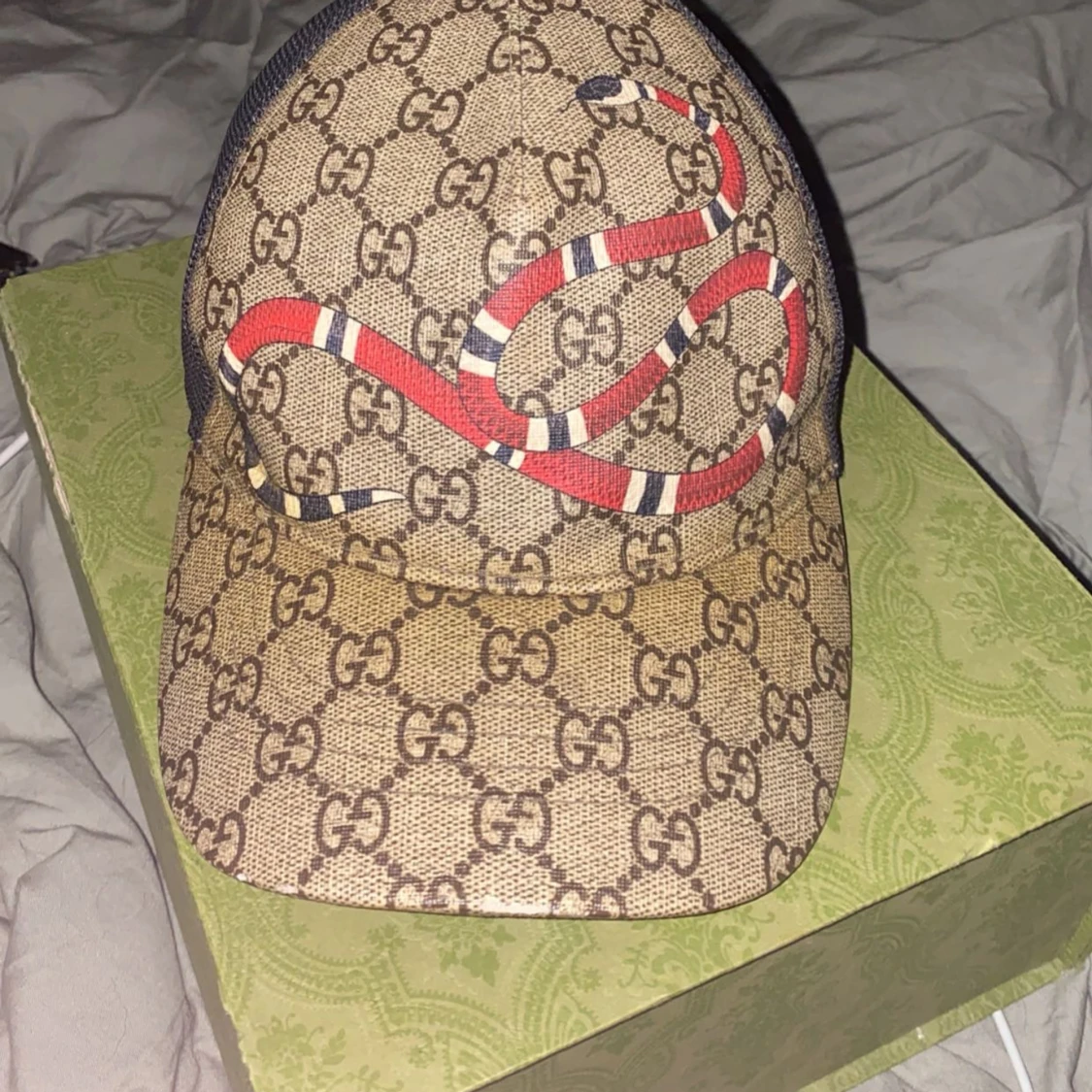 Gucci Snake Keps