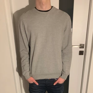 Zara Sweatshirt  - Zara Sweatshirt i storlek small och modellen är ca 180.  Skick 8/10 inga hål eller fläckar  