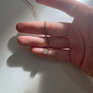 Halsband  - Halsband från Edblad! I färgen guld, tvättas innan jag skickar 😚den är i storleken mini, alltså inte den största