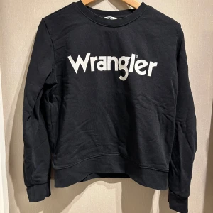 Wrangler hoddie i prima skick  - Fin wrangler hoddie, nästan oanvänd. Inga defekter på eller liknande. Skulle säga att den passar tjejer lika bra som killar. Hör av dig om någon fråga uppstår💗🩷