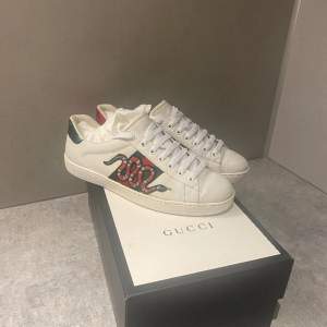 Gucci ace snake i storlek 42,5 I fint skick Box,dustbag,kvitto medföljer Tveka inte på höra av dig vid fundering