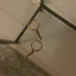 Edblad örhängen  - Säljer mina edblads pigg örhängen i helt perfekt skick 🤩