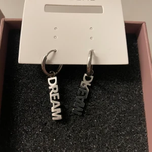 Edblad Öronhängen(dream)  - Gillar dom men har byt till guld smycken, använda 8 gånger.rostfria 