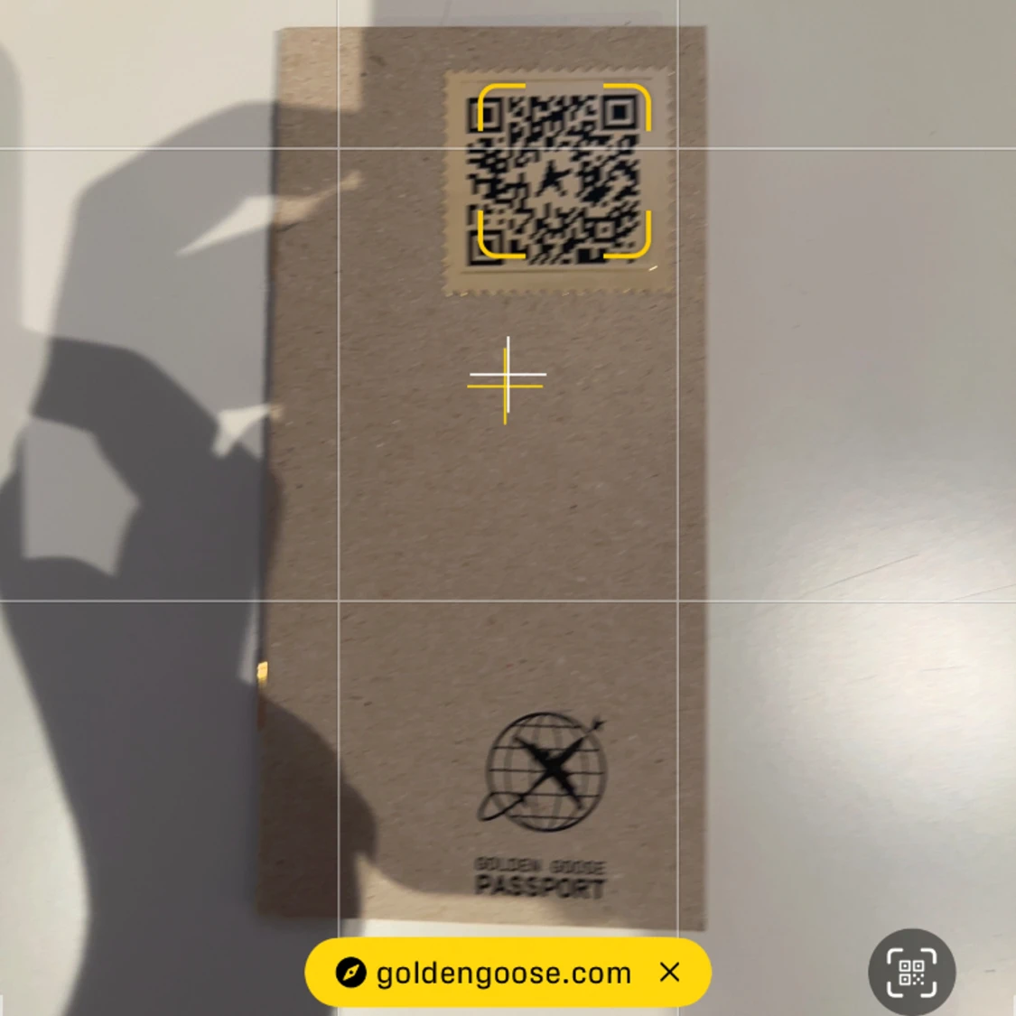 Golden goose - 91