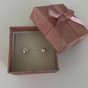 Silverörhängen  - Jätte söta silver örhängen (nickelfria för de är gjorda av plast), de är liknande till blomdahls örhängen! Inga skador eller liknande 💕