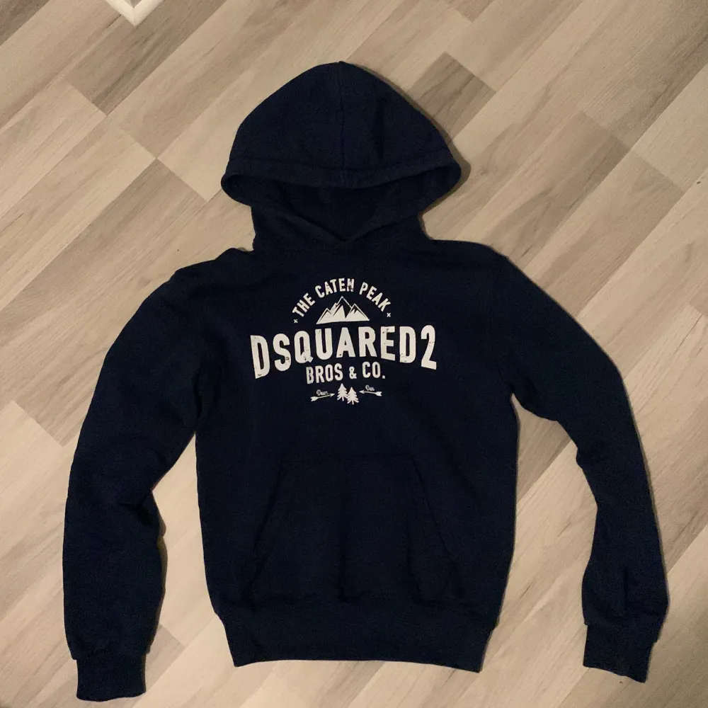 riktigt fet hoodie, väldigt bra cond, storlek 14y!. Hoodies.