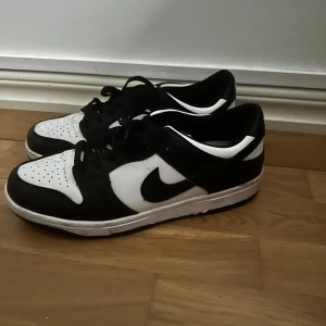 Panda dunks low - Storlek 42 hyfsat rena