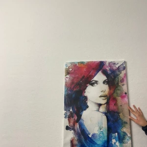 Tavla - Oanvänd tavla som fortfarande är inplastad. Om fler bilder önskas är det bara att skriva. Vid snabb affär kan pris diskuteras!