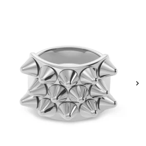 Edblad ring 16,8 (small) - Nästan oanvänd Edblad ring i storlek 16,8 (small) Köpt för 400kr från Edblad 