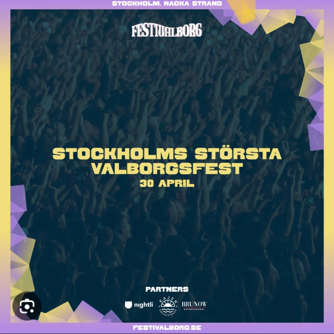 Festivalborg biljett 