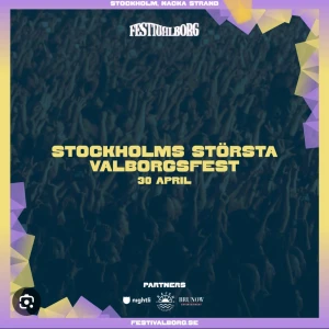 Festivalborg biljett  - Hej jag säljer en biljett till festivalborg i nacka strand.