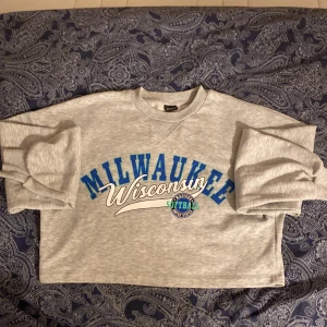 Sweatshirt🩶💙💚🤍🖤 - Säljer då den inte riktigt är min stil💕 Har använt en del och den är lite nopprig men går att fixa, den har även två fläckar som troligen går bort(se bild 3)🫶 Köpt från Gina och går ej att få tag i längre⚠️