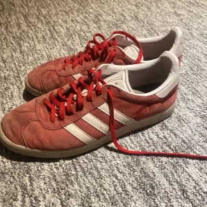 Gazelles - Några röda adidas gazelle skor som säljs