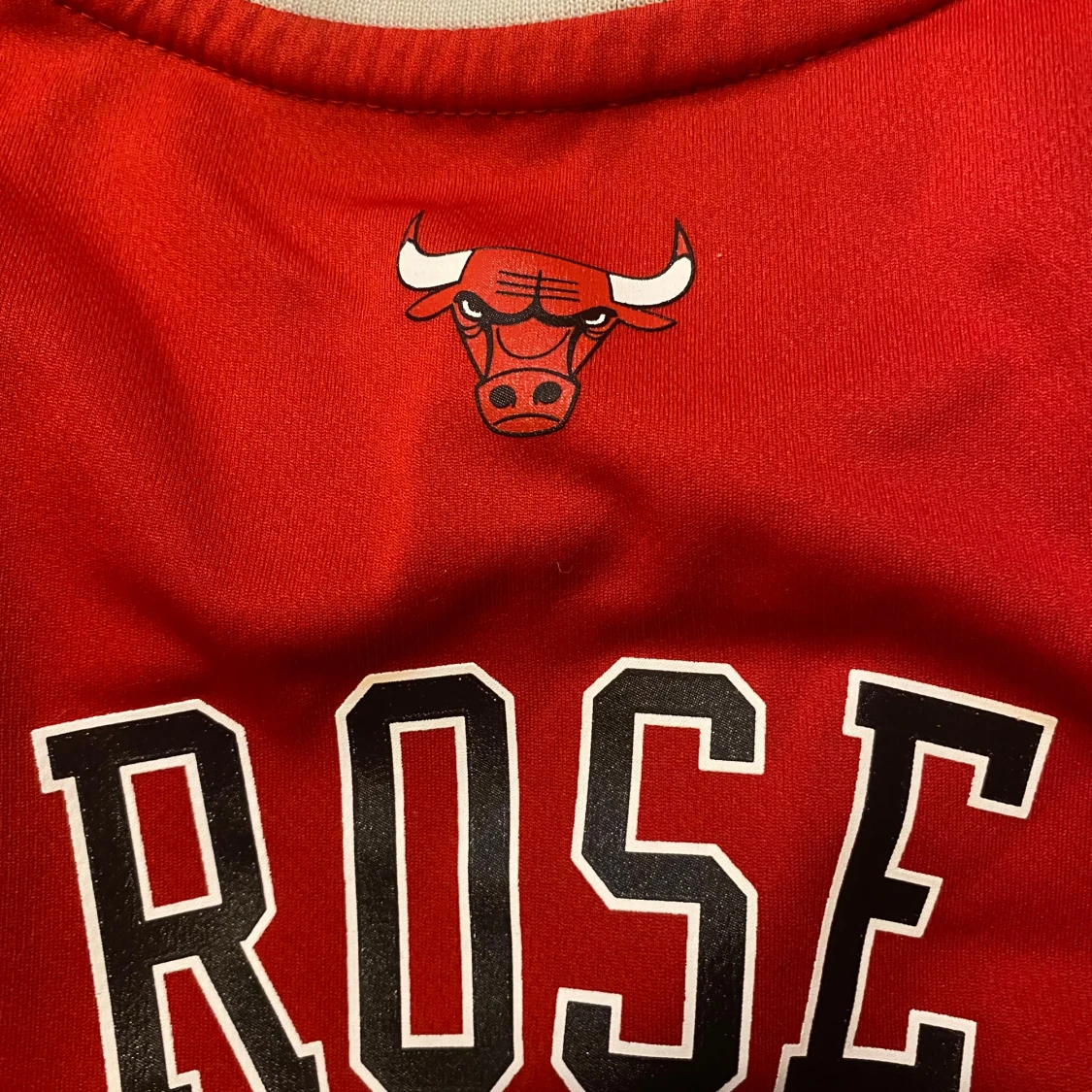 #1 Derrick Rosé NBA tröja Chicago Bulls - 91