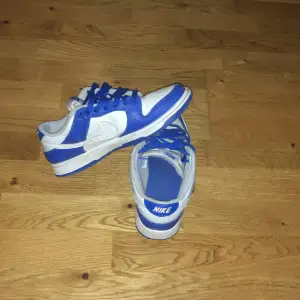 Säljer mina Nike dunk low Kentucky blue storlek 39. Skorna är  7/10 i skick och har använts lite på sommaren. Perfekta skorn nu inför sommaren 