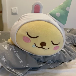 Gullig Kakaofriends Plushie - En stor plushie/kudde från kakaofriends i korea! Orginal pris var 500kr säljer för 200. Bra skick och nytvättad såklart🙆‍♀️🫶