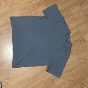 Zara T shorts  - Ljusgrå zara tröja  Skön basis 