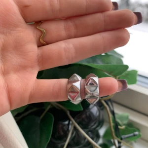 Edblad örhängen  - Säljer dessa silver örhängen från Edblad jätte fina och bra skik säljs pågrund av att jag har bytt till guld! Kontakta mig om fler bilder osv!!💕💕