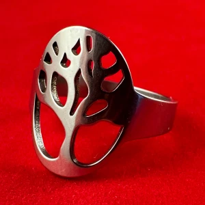 Vacker ring i rostfritt stål - En ring i rostfritt stål med en diameter på ca 19 mm