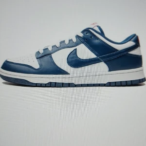 Blåa nike dunks - Har ett par blåa nike dunks som inte kommer till användning längre dom är använda kanske ett 20 tal gånger max Dom är creasade  Ska ta en riktig bild på dom sen men det är skon som visas på bilden  Fick dom i present, lådan kvar Pris kan diskuteras 