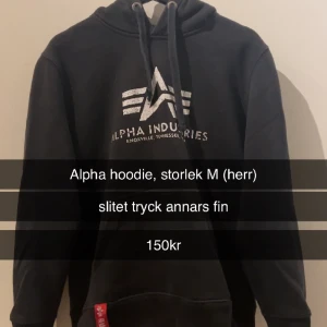 Alpha Hoodie - Står i bild