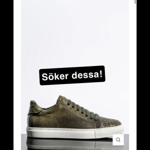 Söker dessa skor från CC Shoes - Söker dessa skor från CC shoes i bra skick i storlek 43/44