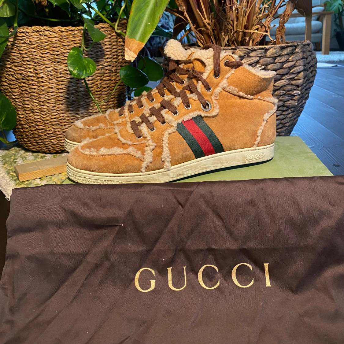 Gucci Hi-Top Teddy Sneakers Brown - 3