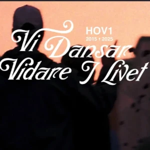Vi Dansar Vidare I Livet - Säljer en biljett till hov1 slutsålda och sista konsert! Till Stockholm stadion, ordinarie ståplats