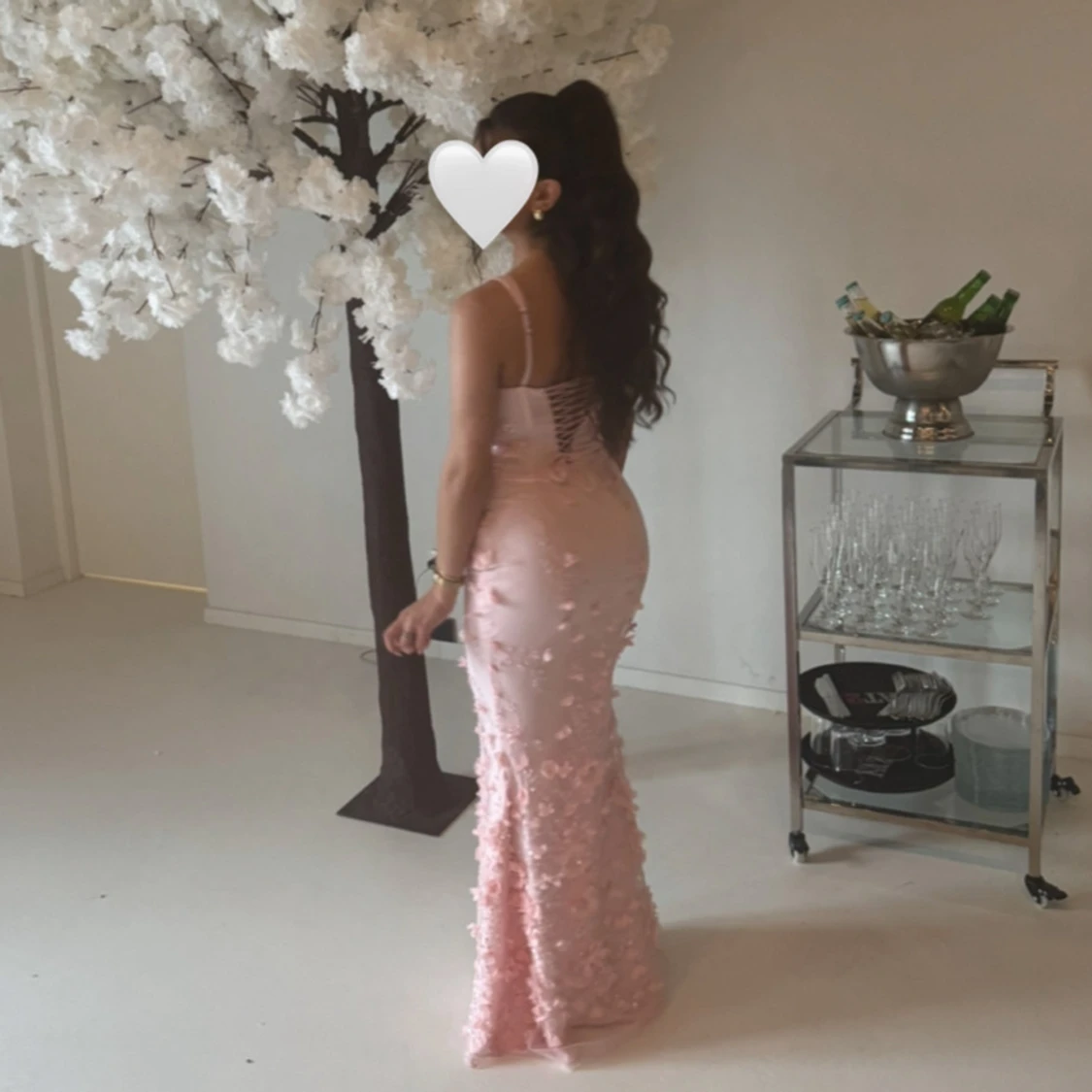 Vasanta oh polly - 1