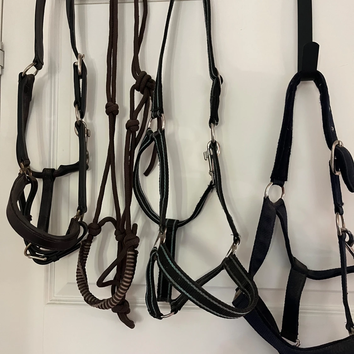  Hästutrustning som är både säkert och snyggt💗 - 4