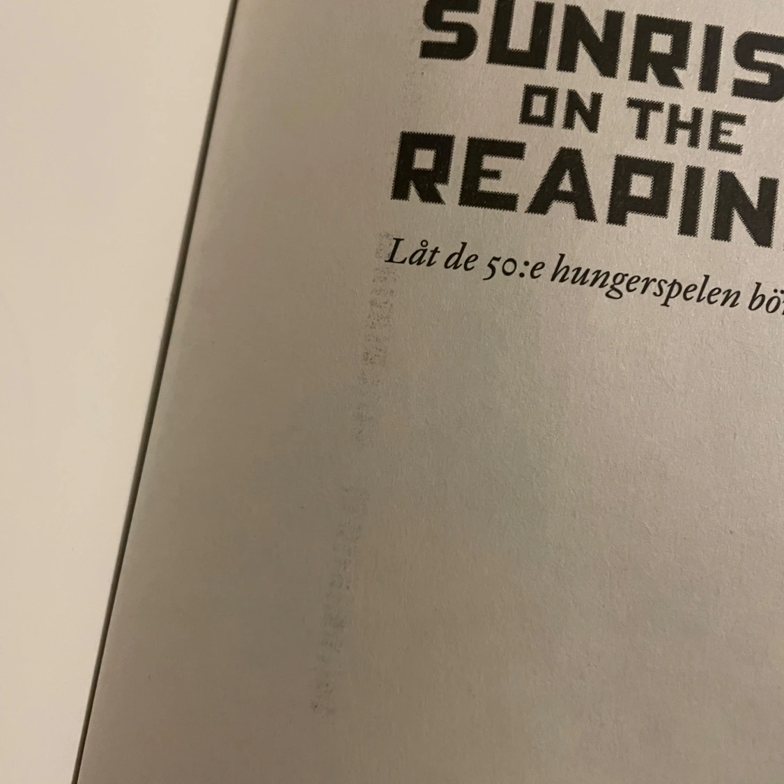 Sunrise on the reping  - 3