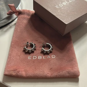 Örhängen från Edblad - Säljer dessa örhängen från Edblad då jag har bytt till guld! Pris kan diskuteras!❤️