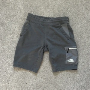 Grå shorts från The North Face - Säljer ett par grå shorts från The North Face med elastisk midja och praktisk dragkedjeficka på sidan. Perfekta för en aktiv dag utomhus eller en avslappnad dag hemma.