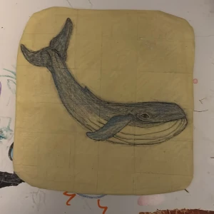 Handgjord teckning av val - Handgjord teckning av en val på maskeringstejps bakgrund. Teckningen är gjord med blyerts och har detaljerade linjer som framhäver valens form och rörelse. Perfekt för att dekorera ditt rum eller vad du vill.