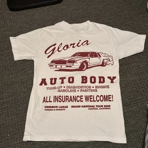 Kendrick Lamar Grand National Tour t-shirt - Råkade köpa en för mycket av de här super snygga tröjorna på konserten. Helt oanvänd och perfekt om du älskar Kendrick. Nypris 650kr