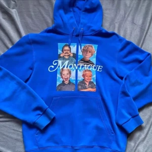 SÖKER - Jag söker denna hov1 hoodie, pris diskuteras, helst storlek S. Om du säljer eller känner någon som säljer kontakta gärna mig. Tack.