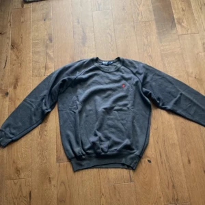 Mörkgrå sweatshirt Polo Ralph Lauren - Mörkgrå sweatshirt från Polo Ralph Lauren med klassisk röd broderad logga på bröstet. Tröjan har rund hals, ribbade muddar och är tillverkad i mjuk bomull. Perfekt för en chill och stilren look.