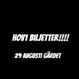 Hov 1 biljetter - Säljer två hov1 biljetter till imrgon (29 augusti) då jag och min vän blivit sjuka. Går även agg bara köpa en för 800kr