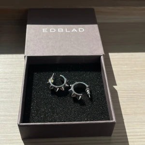 Silvriga örhängen från Edblad - Snygga silvriga örhängen från Edblad med en unik design av små spetsar runt om. Perfekta för att ge en edgy touch till din stil. Kommer i originalförpackning. Utbytt plupp bak. 