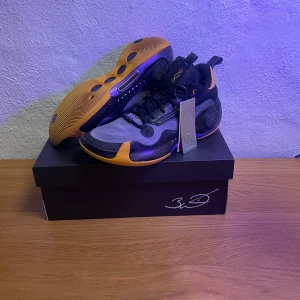 Way of Wade 10 - Way of Wade 10 i storlek 45 2/3. Väldigt sällsynta  basketskor och är en av dom bästa skorna man kan ha. Skriv för fler bilder etc. 