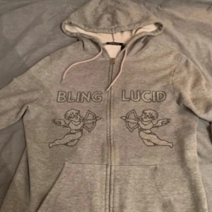 Grå hoodie från Bling Lucid - Säljer en grå hoodie från Bling Lucid med dragkedja och huva. Tröjan har tryck av två änglar med pilbågar och texten 'BLING LUCID' på framsidan. Perfekt för en avslappnad stil.
