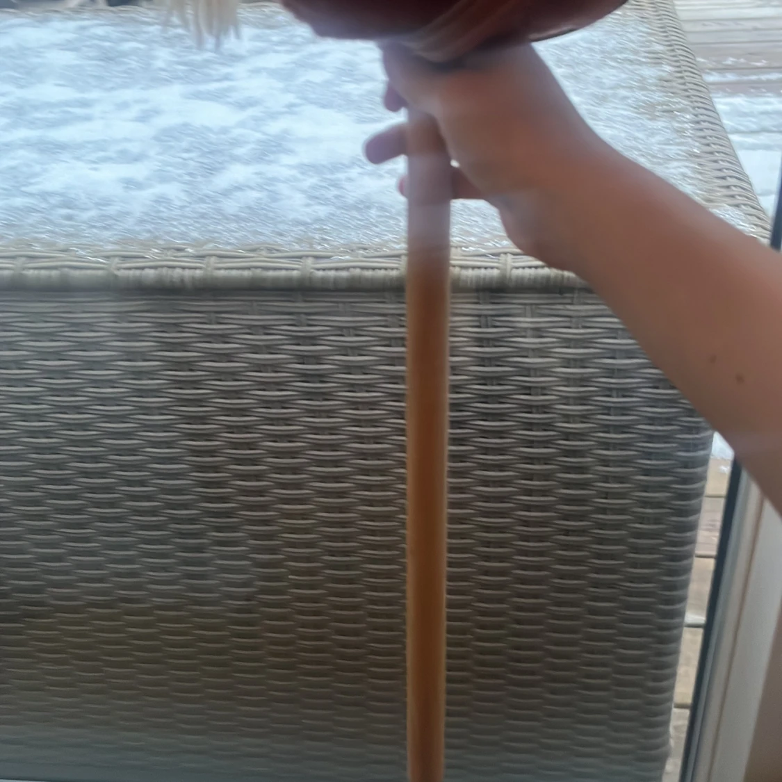 Brun käpphäst med vit man - 3