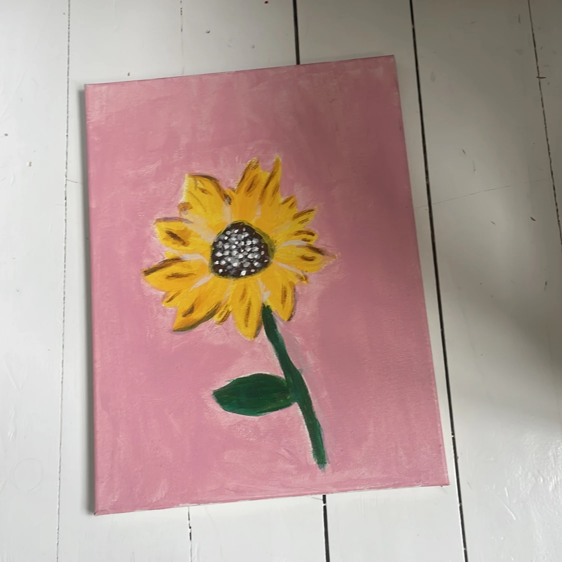 Solros på rosa bakgrund - 3