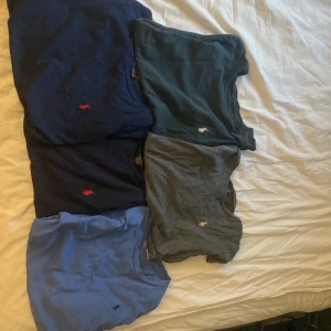 Bunt med Ralph louren T-shirts 75st/ bunt 350kr - Säker en bunt med Ralph loren T-shirts pga ingen anvandning. Dom två längst upp gröna och gråa är i storlek xs medans den längst till vänster är i storlek xl och dom andra två i storlek m. Skriv till mig vid frågor bud eller funderingar🤙🏼 pris kan diskuteras 