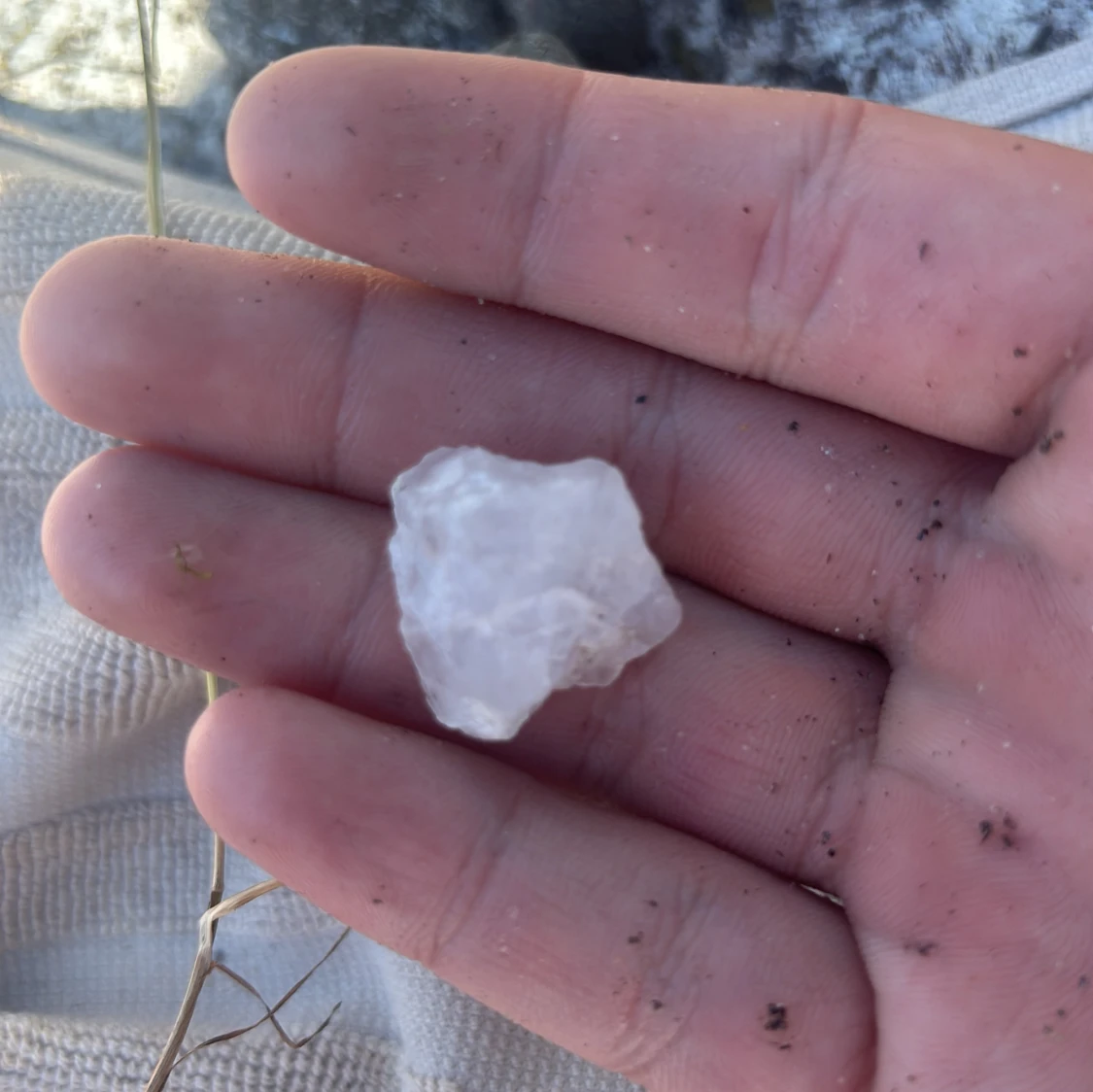 Fin Sten från Victoriasjön  - 1