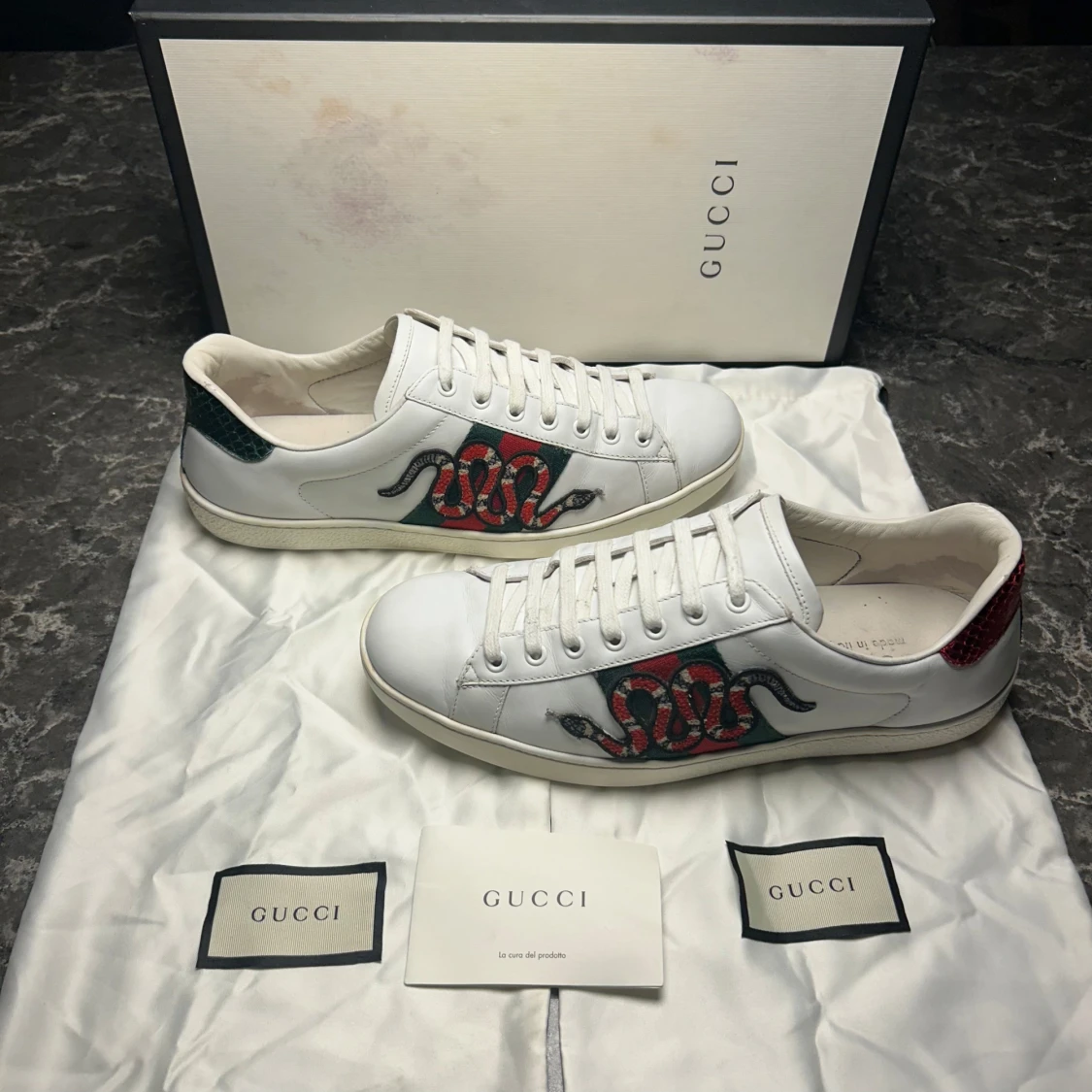 Gucci ace snake